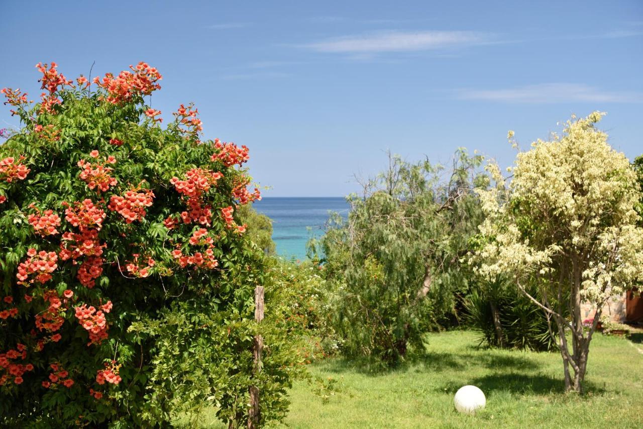 Villa Orri Tortoli Exterior photo